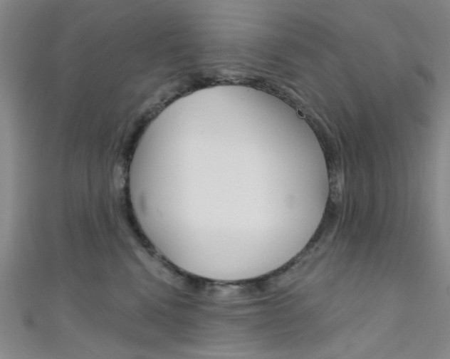 X0000111480472200907141046