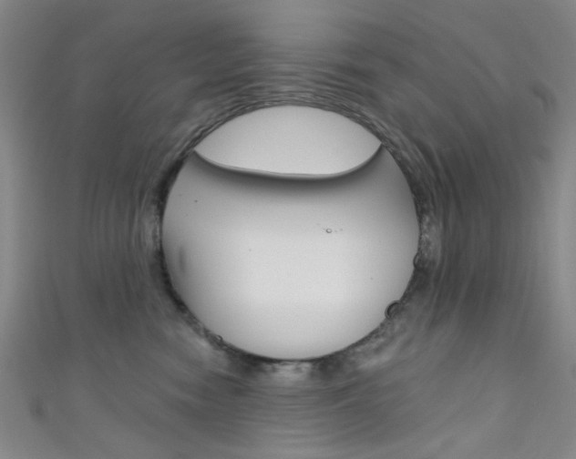X0000111480474200907141046