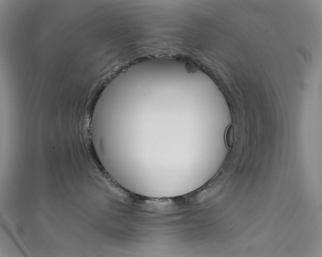 X0000111480480200907141046