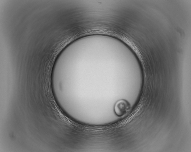 X0000111480481200907141046