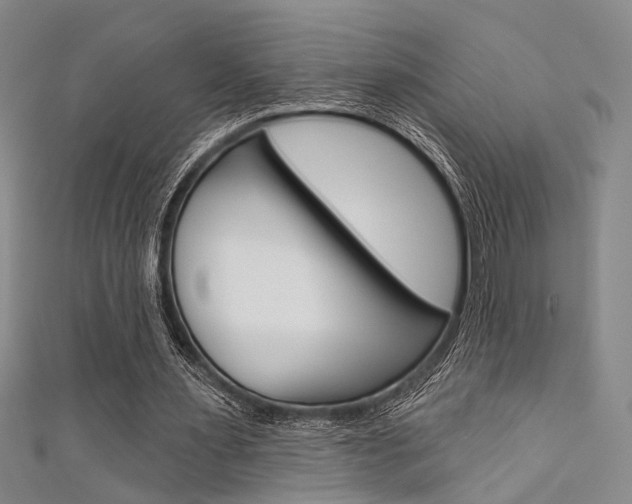 X0000111480483200907141046