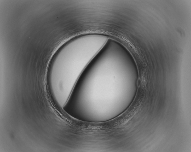 X0000111480484200907141046