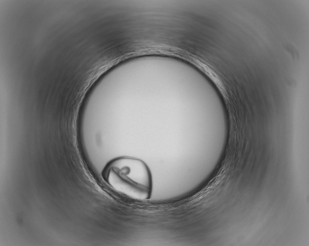 X0000111480485200907141046