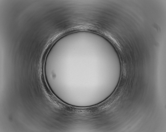 X0000111480486200907141046
