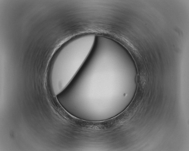 X0000111480488200907141046