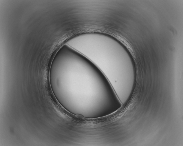 X0000111480489200907141046