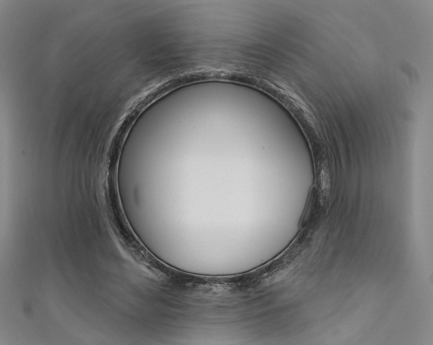 X0000111480492200907141046