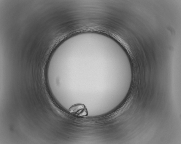 X0000111480493200907141046