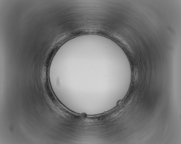 X0000111480494200907141046