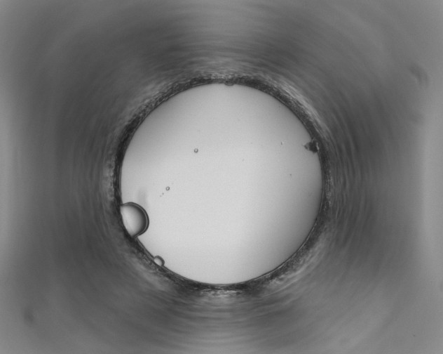 X0000111480497200907141045