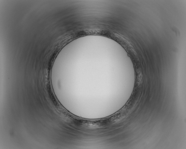 X0000111480498200907141045