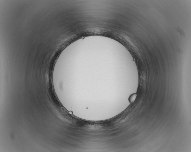 X0000111480500200907141045