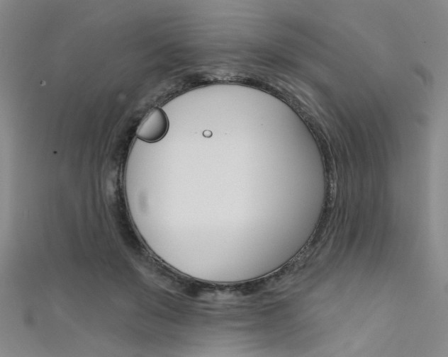 X0000111480503200907141045