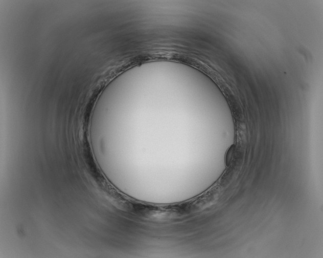 X0000111480504200907141045