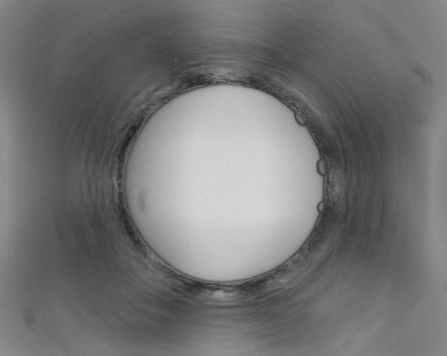 X0000111480506200907141045