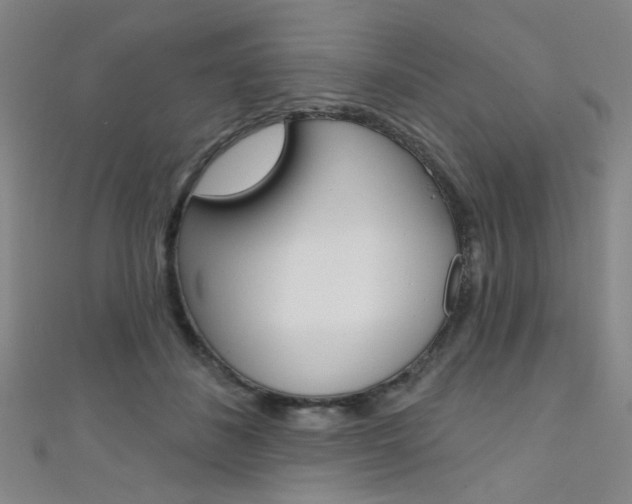 X0000111480508200907141045