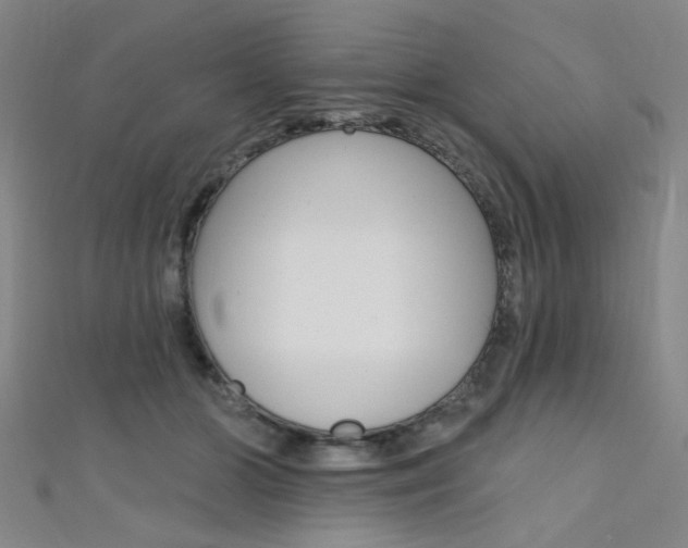 X0000111480510200907141045