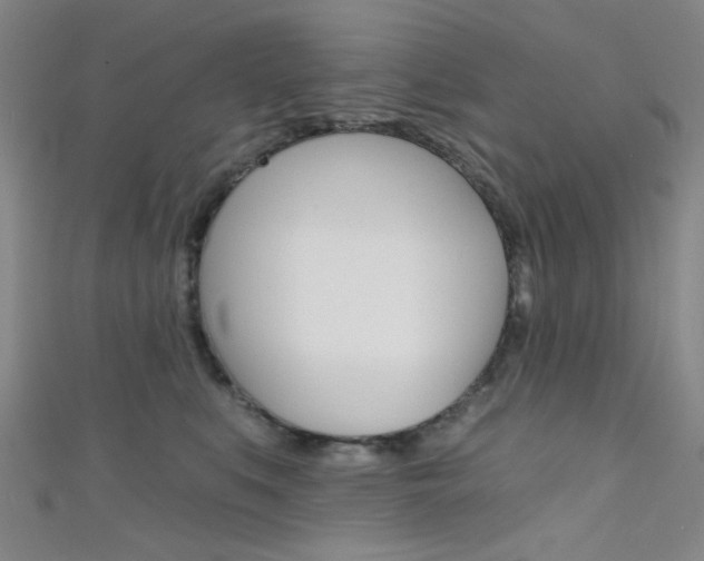 X0000111480519200907141045
