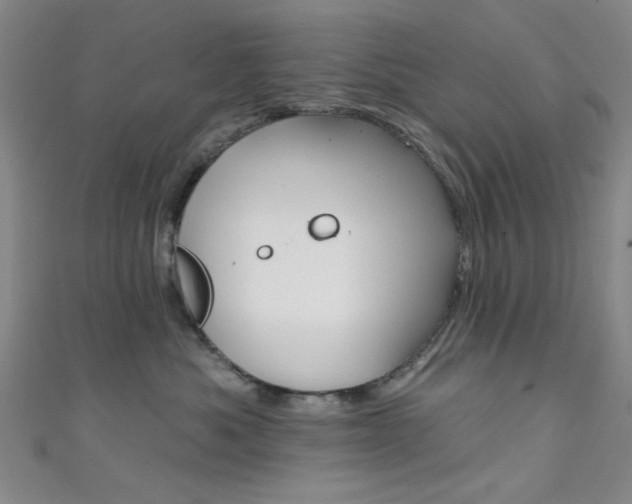 X0000111480525200907141045