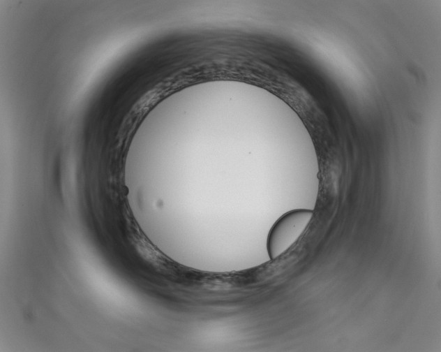 X0000111480526200907141045