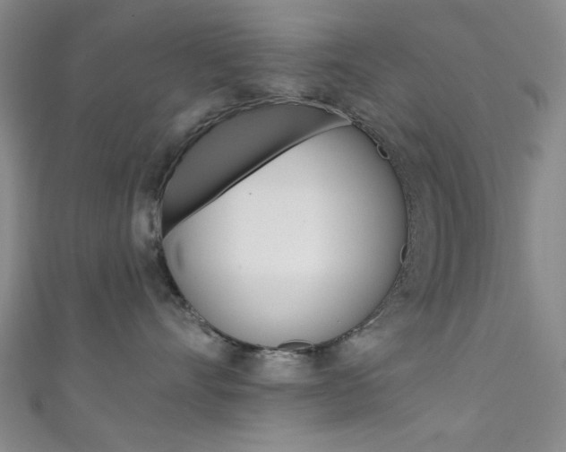 X0000111480528200907141045