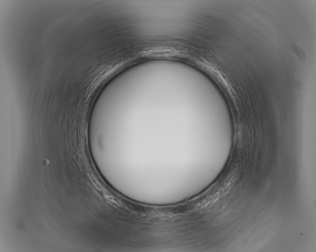 X0000111480529200907141044