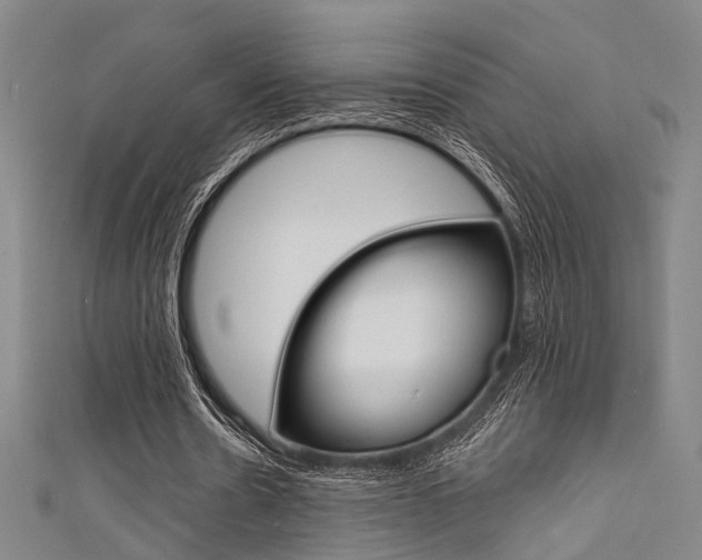 X0000111480530200907141045
