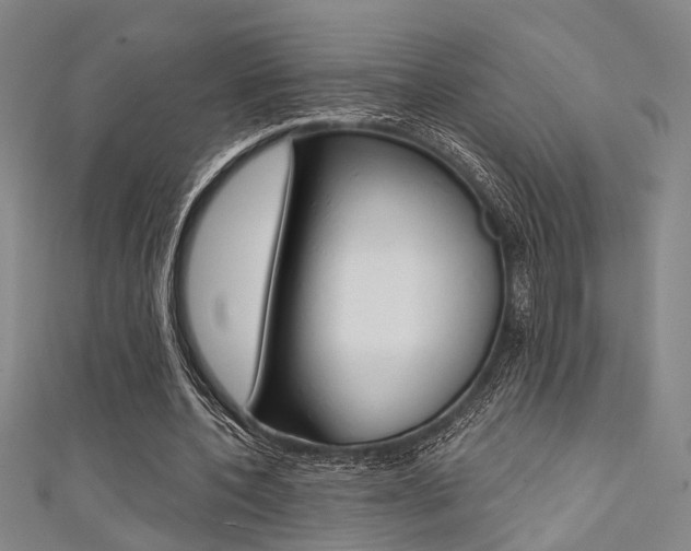 X0000111480532200907141045