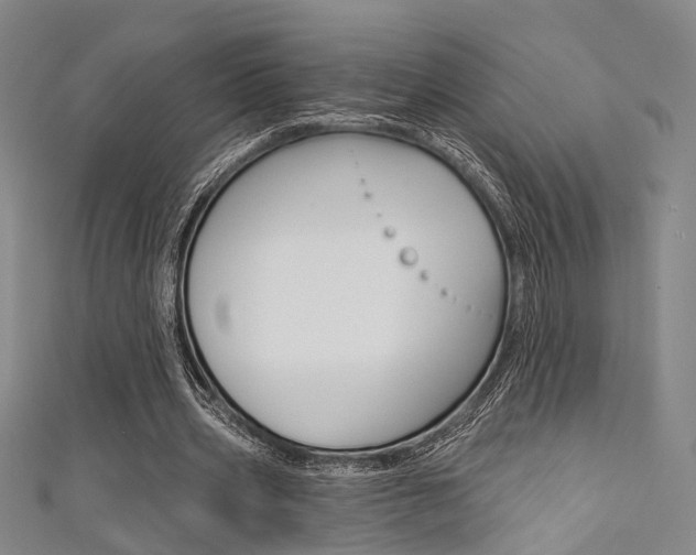 X0000111480533200907141045