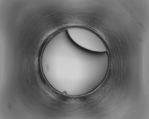 X0000111480535200907141045