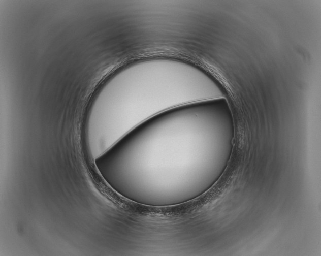X0000111480538200907141045
