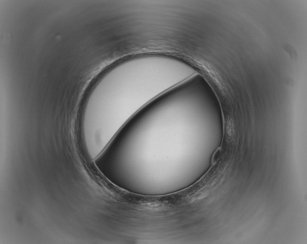 X0000111480540200907141045