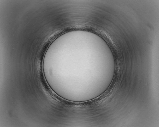 X0000111480542200907141045