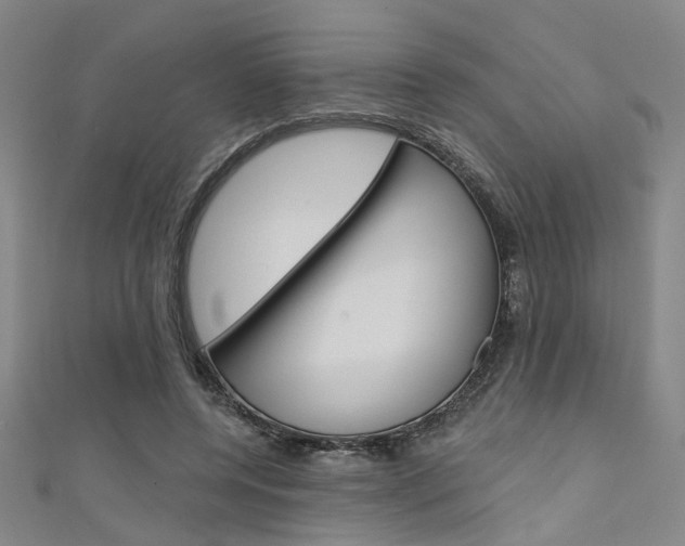 X0000111480544200907141045