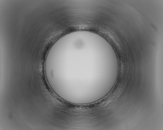 X0000111480545200907141045