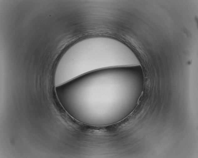 X0000111480548200907141045
