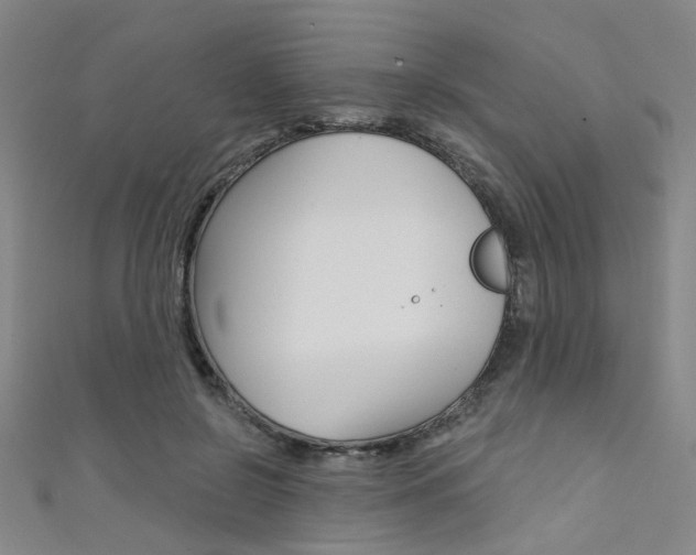 X0000111480550200907141045