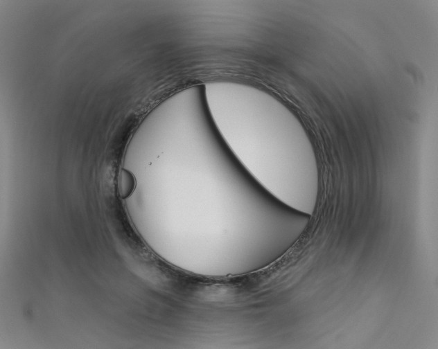 X0000111480551200907141045