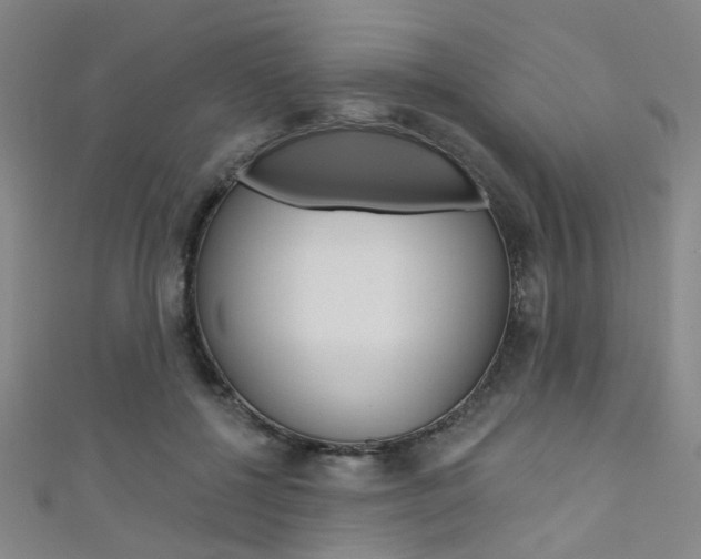 X0000111480552200907141045