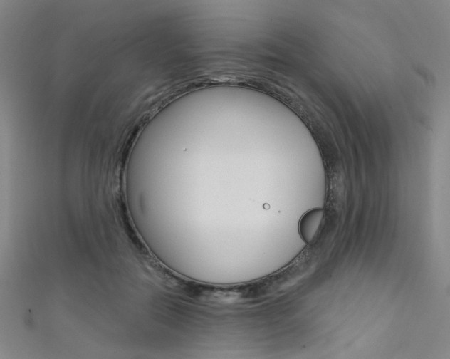 X0000111480554200907141045