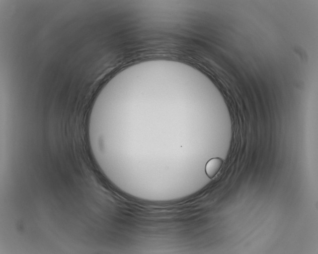 X0000111480556200907141045