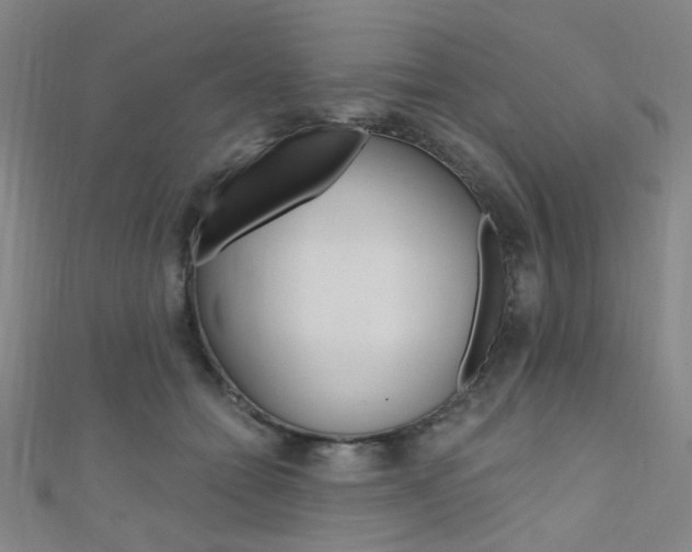 X0000111480558200907141045
