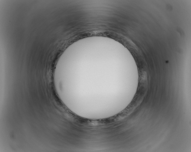 X0000111480565200907141045