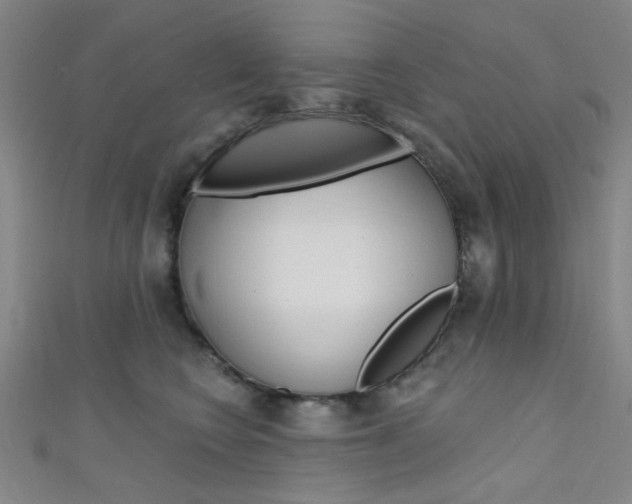 X0000111480566200907141045