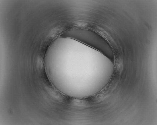 X0000111480568200907141045