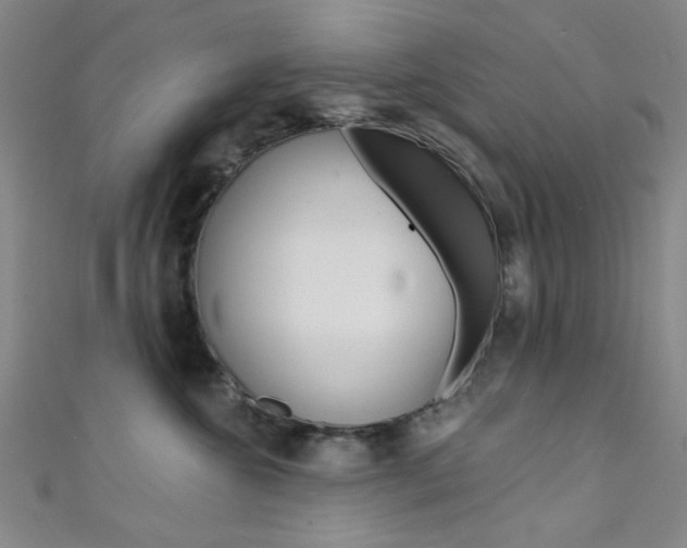 X0000111480572200907141045