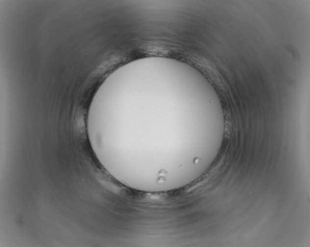 X0000111480573200907141045