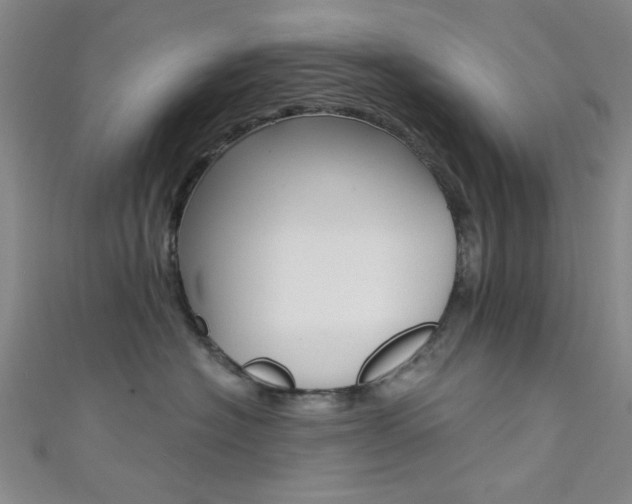 X0000111480574200907141045