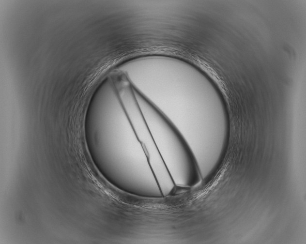 X0000111480577200907141044