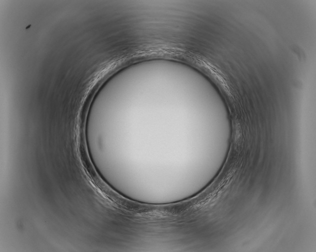X0000111480578200907141044